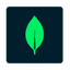 MongoDB